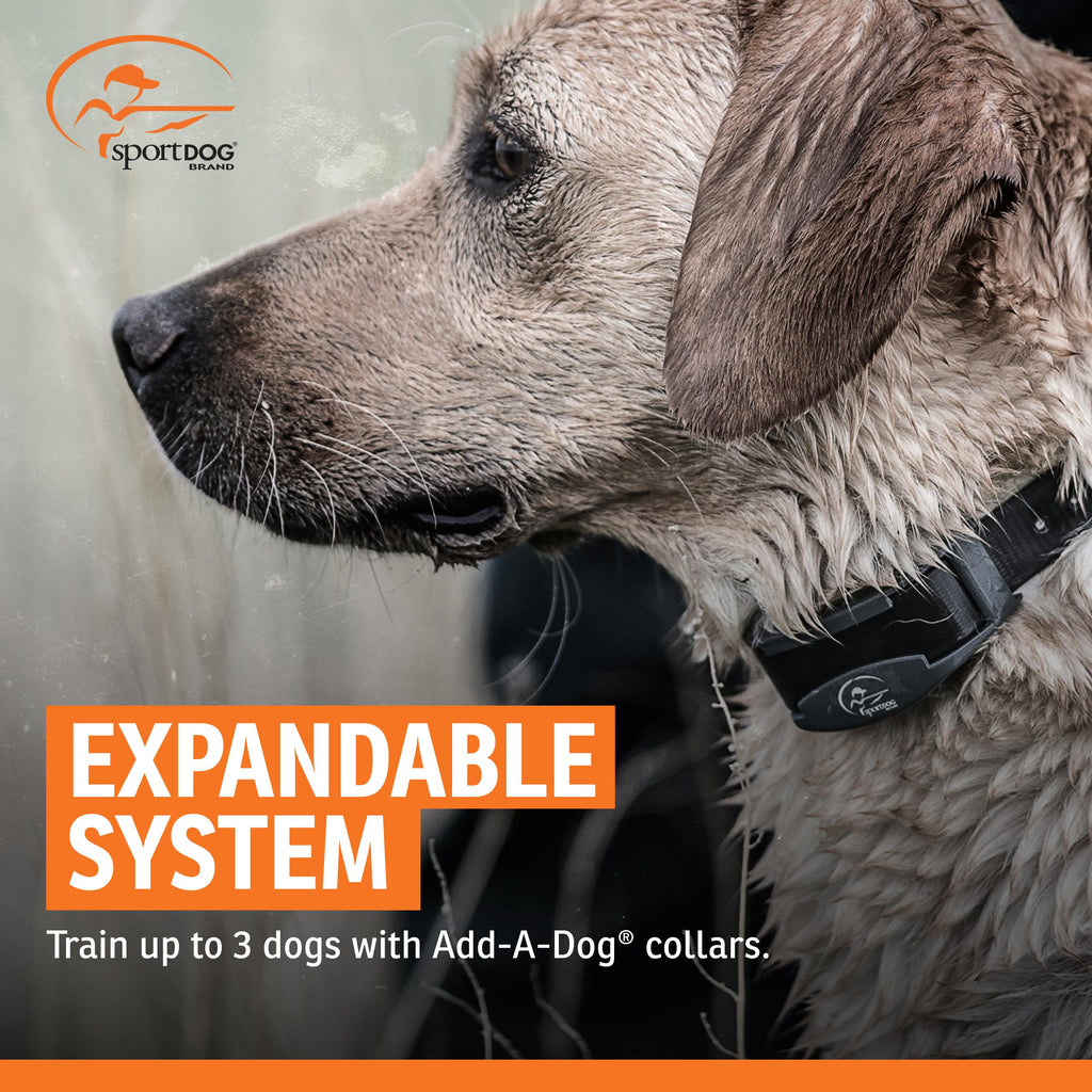 Remote Dog Trainer 1/2 Mile Range F32489